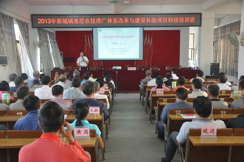 新城鎮農技推廣體系改革與建設補助項目科技培訓班 賦能現代農業，服務鄉村振興